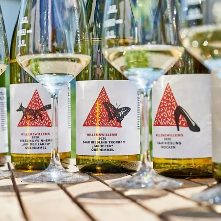 Ferienweingut Willems Oberemmel Экстерьер фото
