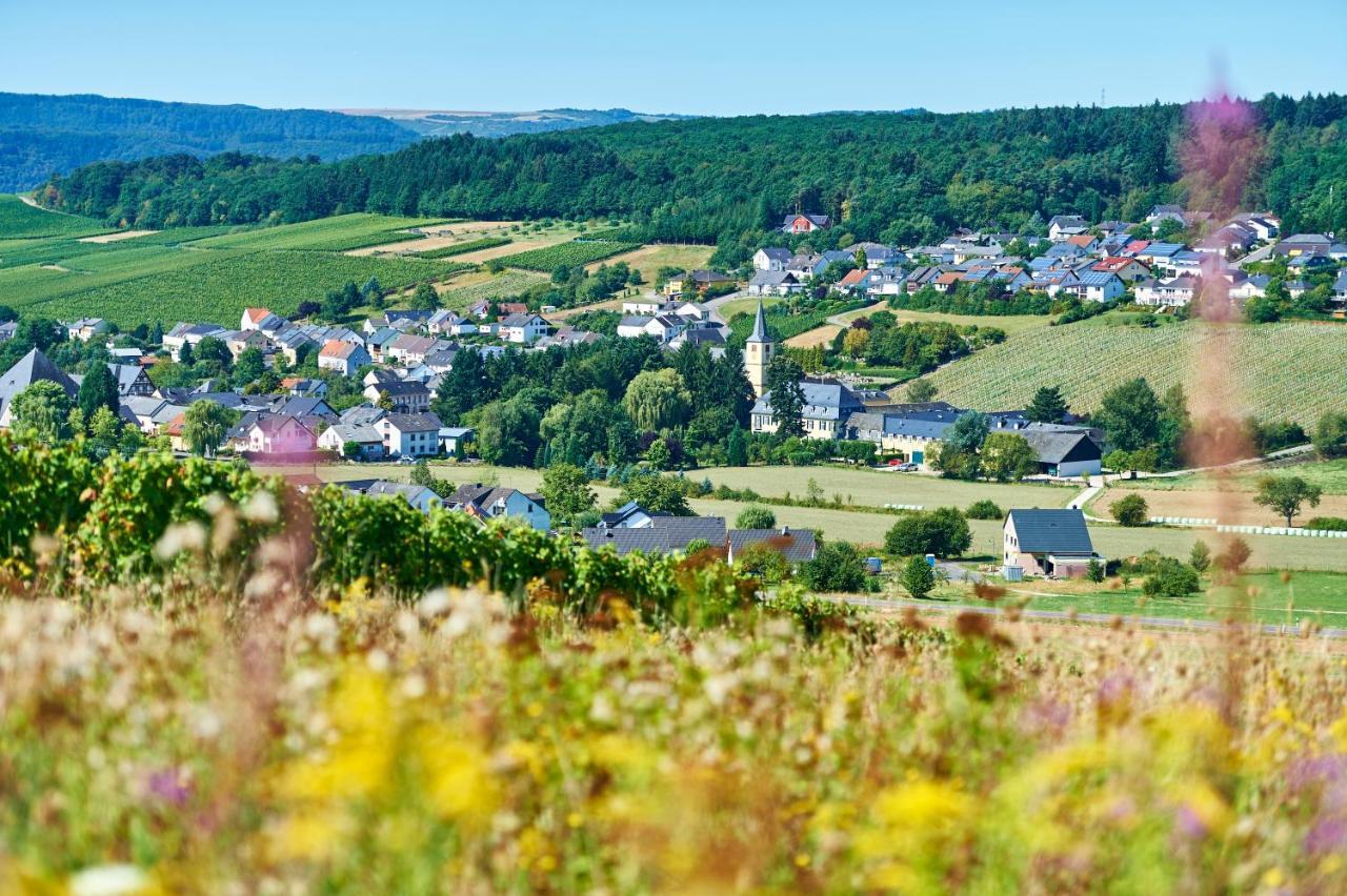 Ferienweingut Willems Oberemmel